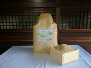 はざ干し（天日干し）自然米コシヒカリ　玄米 5kg　2023年産 