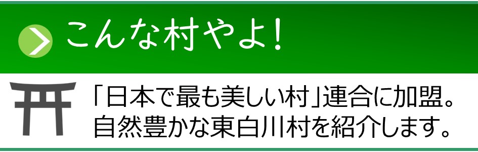 「こんな村やよ！」東白川村の紹介ページへのリンクバナー