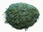 sencha-1