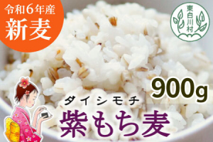 東白川産　もち麦（ダイシモチ）900ｇ