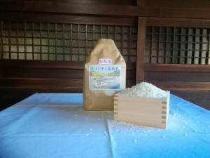 はざ干し自然米　マンゲツモチ　白米2kg　2024年産  