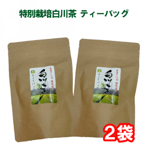【送料無料】特別栽培白川茶　ティーバッグ２袋