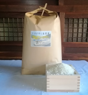 はざ干し（天日干し）自然米コシヒカリ　白米10㎏　2023年産   