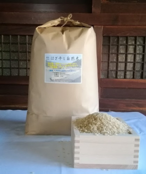 はざ干し（天日干し）自然米コシヒカリ　玄米10㎏　2021年産