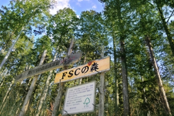 FSCの森3 東白川村森林組合