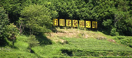 写真:「白川茶発祥の地」