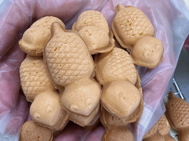 白川茶屋　べびーつちのこ