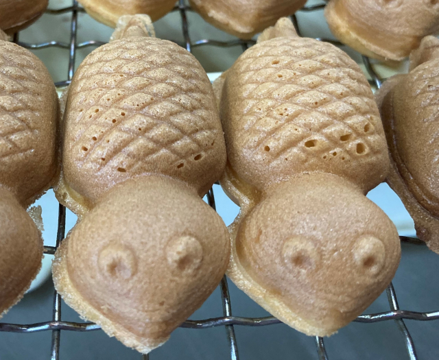 ベビーつちのこ