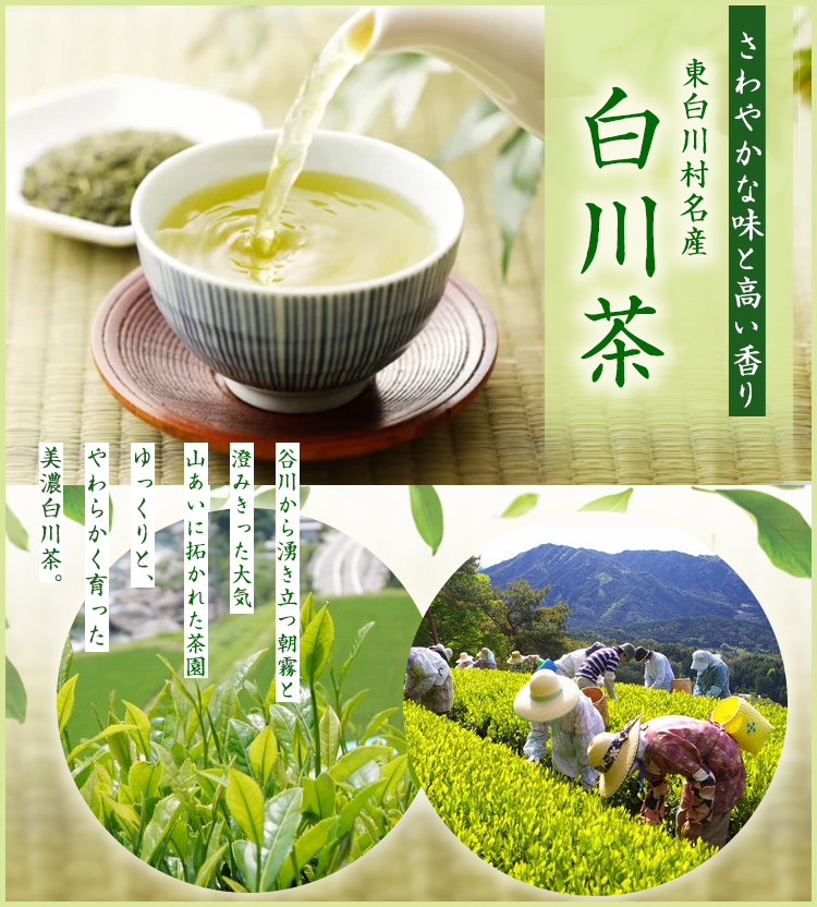 つちのこマルシェ | 東白川村役場