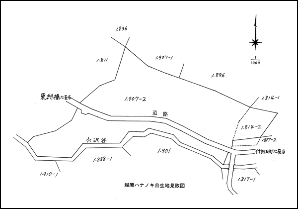 越原ハナノキ自生地見取図