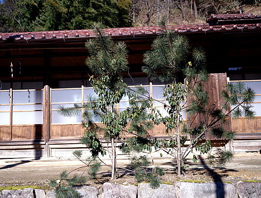 歳徳神の依代は清らかに