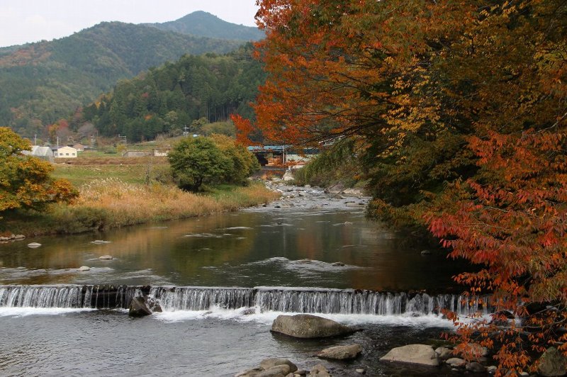 東早川村