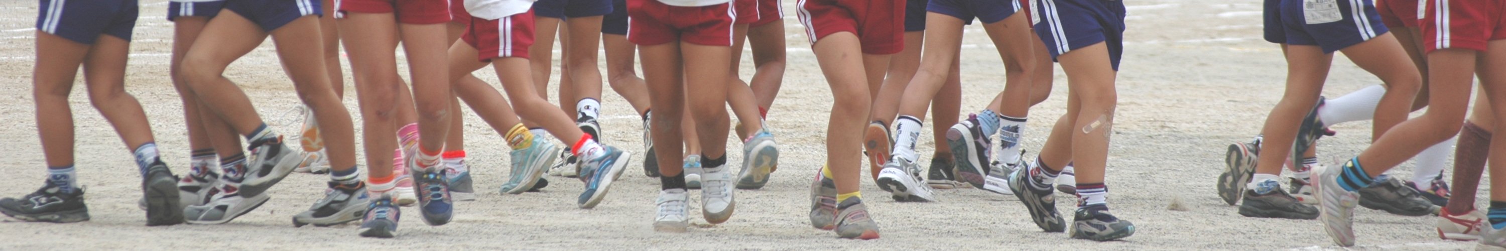 子ども応援団(写真:小学校運動会)