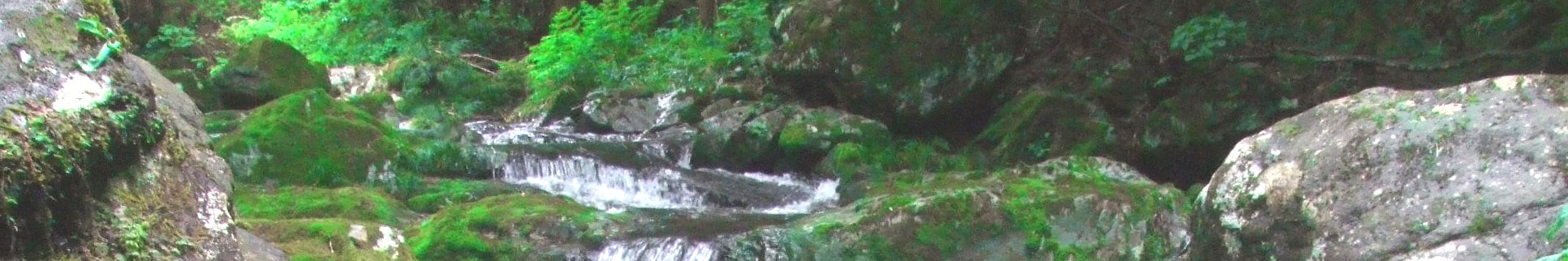 環境への取組(写真:東白川村の風景/清流白川)