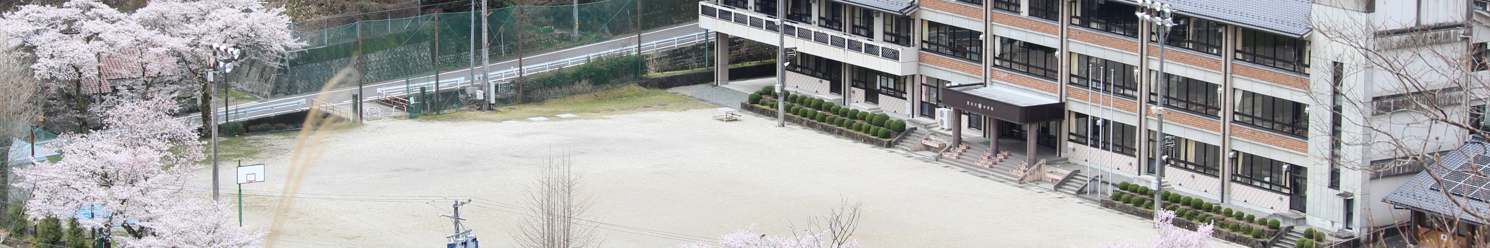 写真:東白川中学校外観と校庭の桜