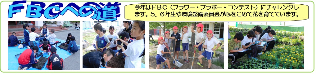 画像:FBCへの道