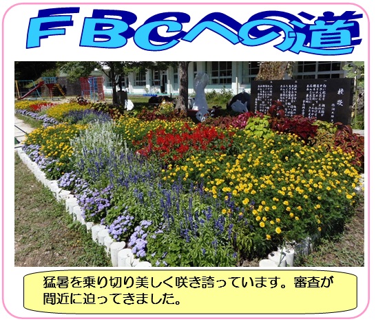 画像:FBCへの道