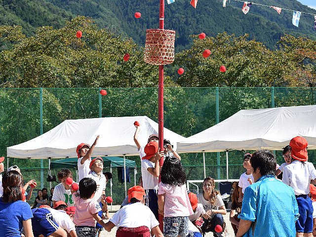 1・2年(親子競技) みんなでたまいれ