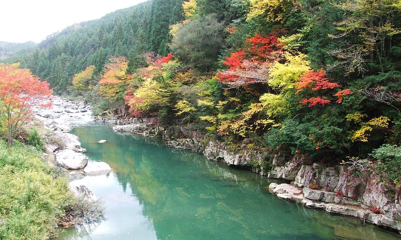 写真:白川沿いの錦秋