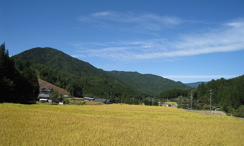 「穂波」2016年9月撮影/桂川憲生