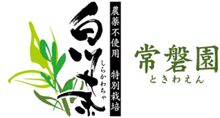 農薬不使用 特別栽培 白川茶　常磐園