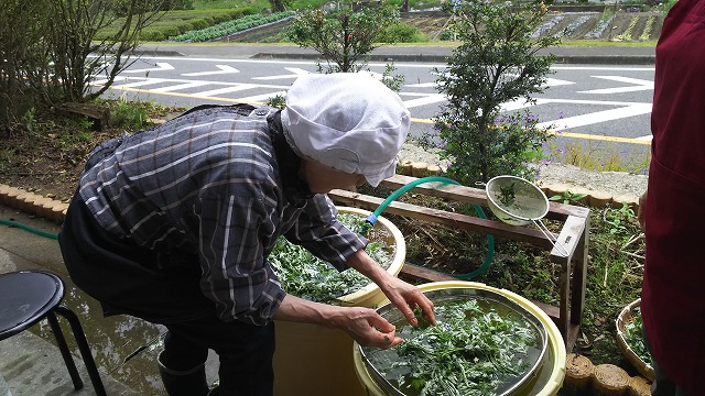 画像：記事名が入ります。