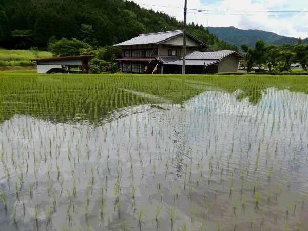 画像：記事名が入ります。