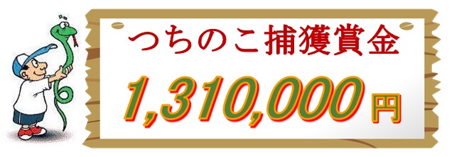 画像;つちのこフェスタ2020 つちのこ捕獲賞金1,300,000円