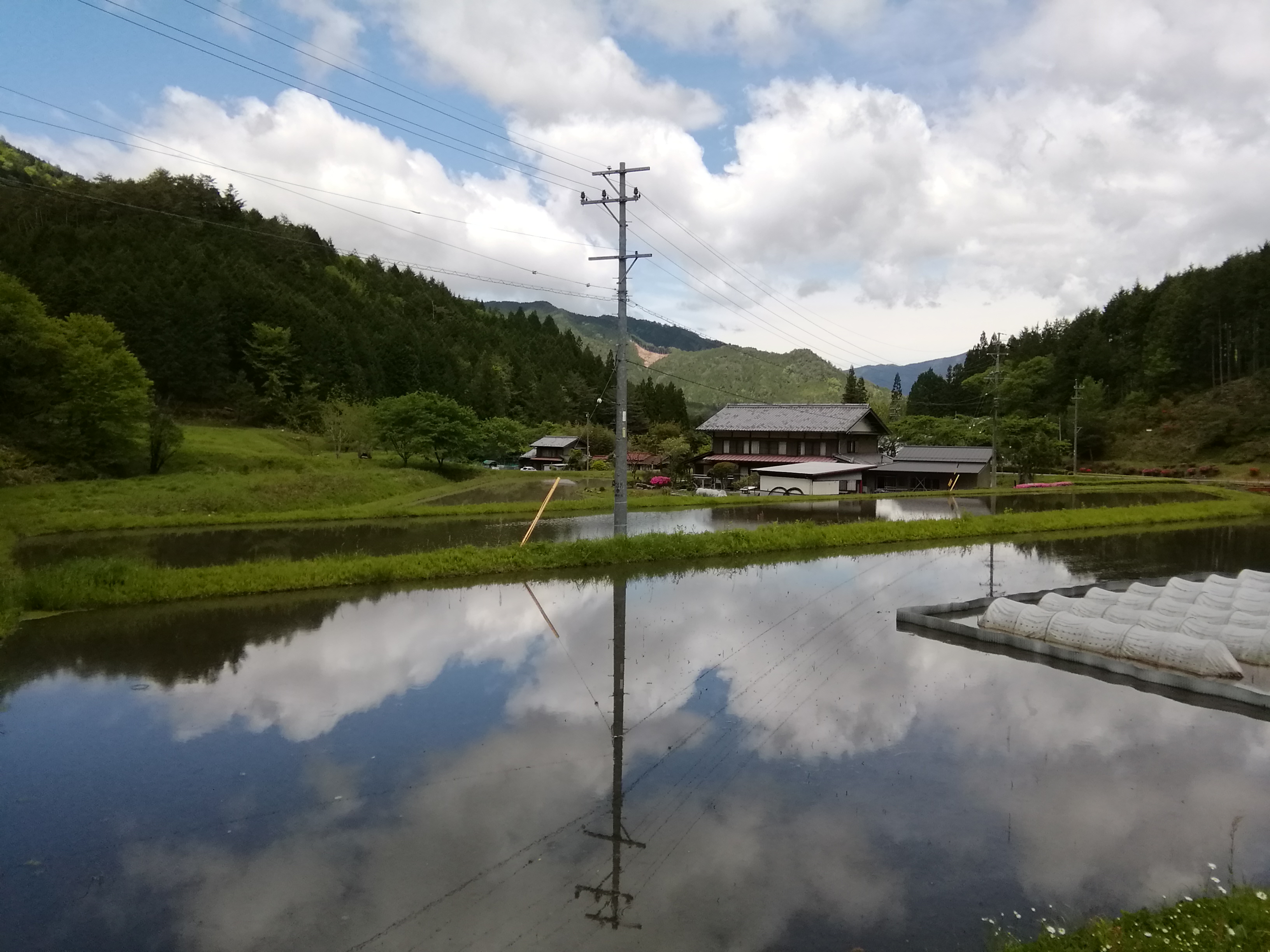 画像：記事名が入ります。