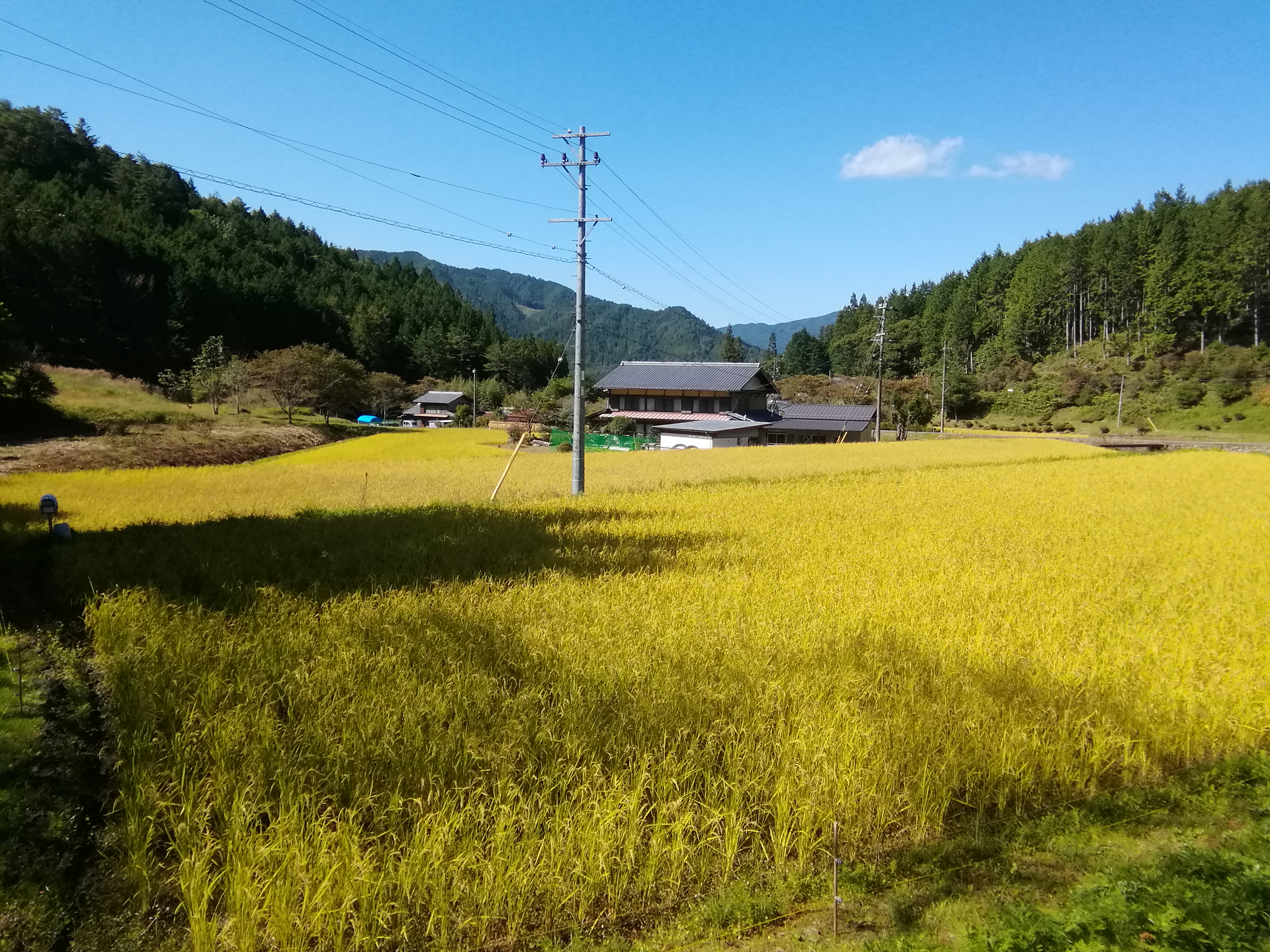 画像：記事名が入ります。