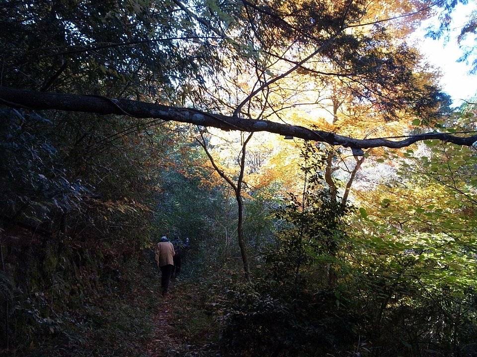 写真:谷沿いの旧道