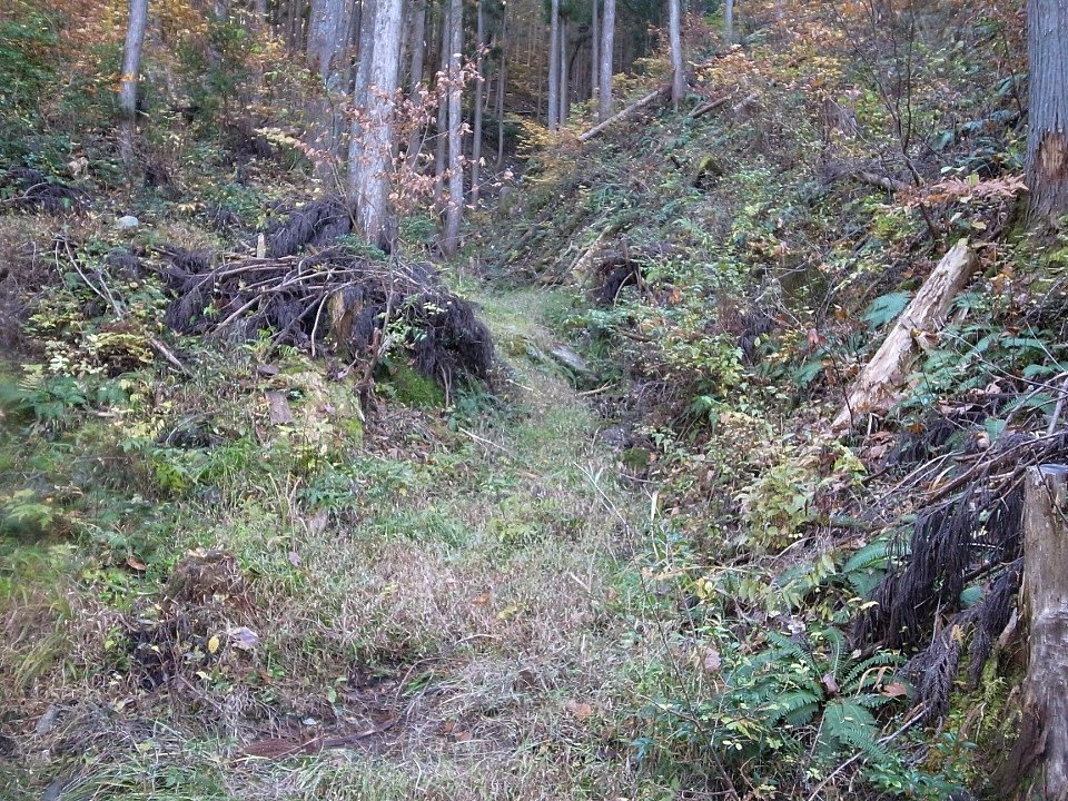 写真:沢塗りを仕掛けていたであろう小さな沢