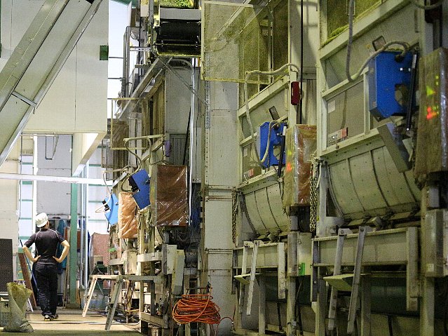 写真:製茶工場内部。大きな機会がたくさん並んでいます。