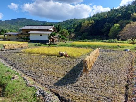 画像：記事名が入ります。