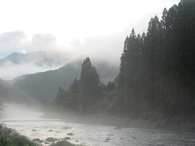 川霧が立つ清流白川