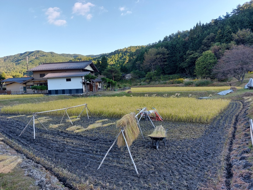 画像：記事名が入ります。