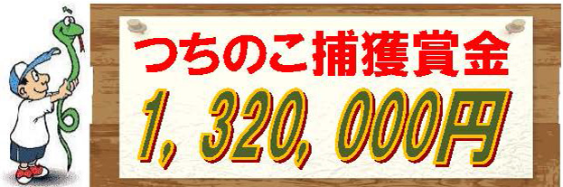 画像:つちのこフェスタ2024 つちのこ捕獲賞金1,320,000円