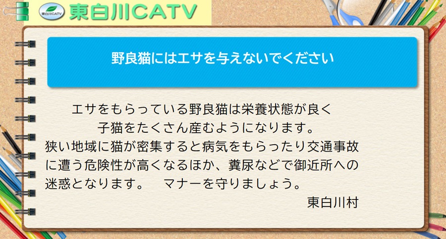 エサをもらっている野良猫は栄養状態が良く子猫をたくさん産むようになります。狭い地域に猫が密集すると病気をもらったり交通事故に遭う危険性が高くなるほか、糞尿などで御近所への迷惑となります。マナーを守りましょう。