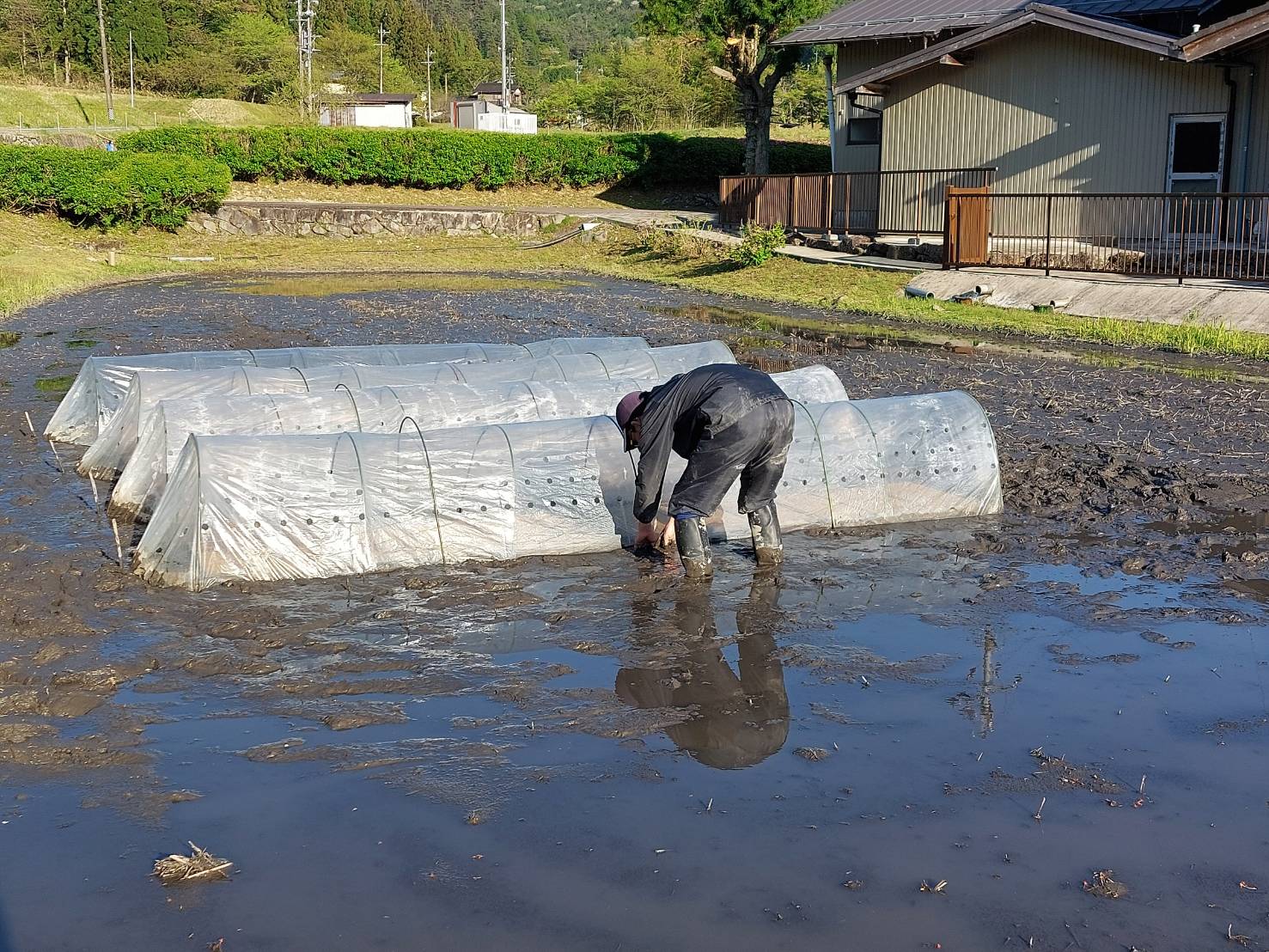 画像：記事名が入ります。