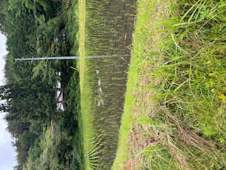 画像：記事名が入ります。