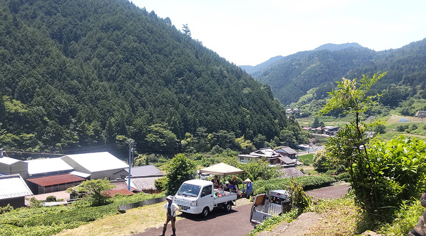 写真:草取りの休憩中
