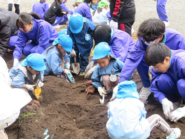 写真:園児らの手伝いをする3年生達
