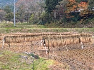 画像：記事名が入ります。