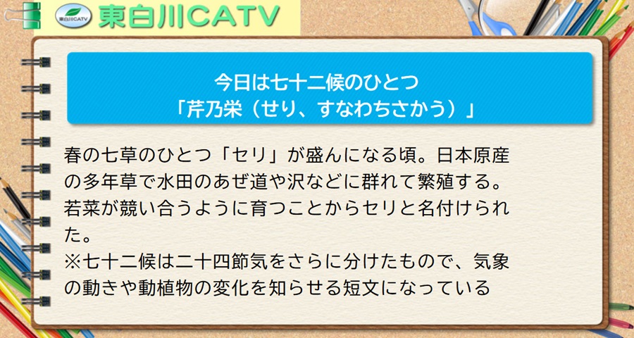 今日は七十二候のひとつ「芹乃栄(せり、すなわちさかう)」春の七草のひとつ「セリ」が盛んになる頃。日本原産の多年草で水田のあぜ道や沢などに群れて繁殖する。若菜が競い合うように育つことからセリと名付けられた。※七十二候は二十四節気をさらに分けたもので、気象の動きや動植物の変化を知らせる短文になっている。