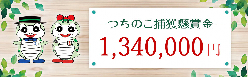 画像:つちのこフェスタ2025 つちのこ捕獲懸賞金1,330,000円