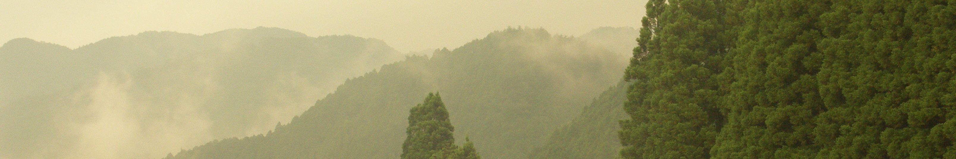 山村振興計画(写真:霧に覆われた東白川村の山)