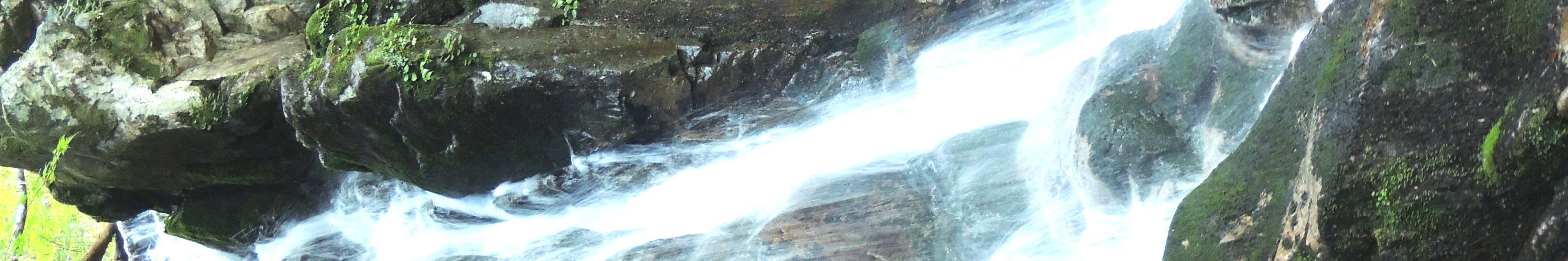 自然地域の開発に関する届出について(写真:東白川村の風景/清流)
