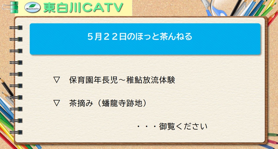 5月22日のほっと茶んねる▽保育園年長児/稚鮎放流体験▽茶摘み(蟠龍寺跡地)…御覧ください。