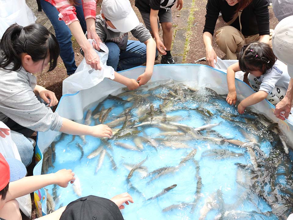写真:マスつかみ